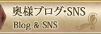 ���l�u���O�ESNS
