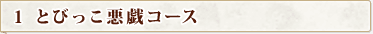 �Ƃт������Y�R�[�X