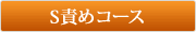 S�ӂ߃R�[�X